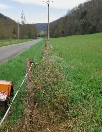 prestation epareuse